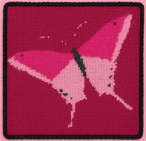 Photograph of product.